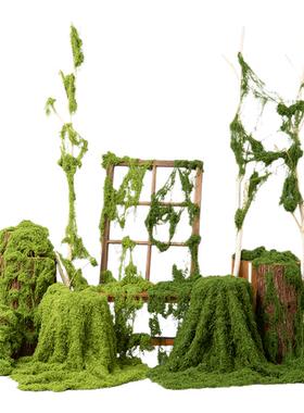 野花仿生木头青苔造景树桩苔藓