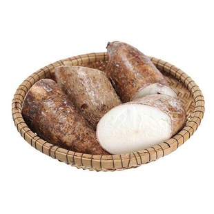 新鲜木薯现挖自家有机黄肉白肉面包树薯糖水粉香甜糯木薯cassava