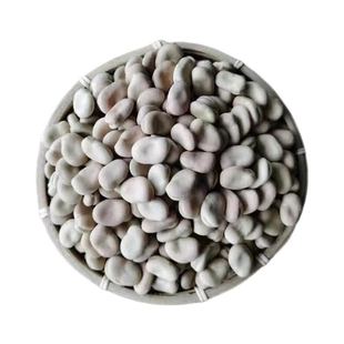 云南特产白蚕豆干货生蚕豆干蚕豆胡豆白皮罗汉豆高产种子发芽豆