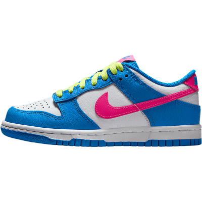 Nike/耐克正品Dunk Low GS女子大童经典透气休闲板鞋IB7747-406