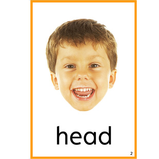 英语单词卡片真人体身体部位body英文五官闪卡幼儿早教认知教具