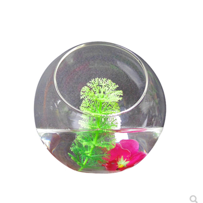 微景观创意制作多肉植物花瓶玻璃苔藓瓶透明生态瓶观景瓶圆形斜口