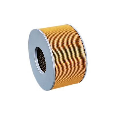 郑品丰田陆地巡洋舰LC100空气格