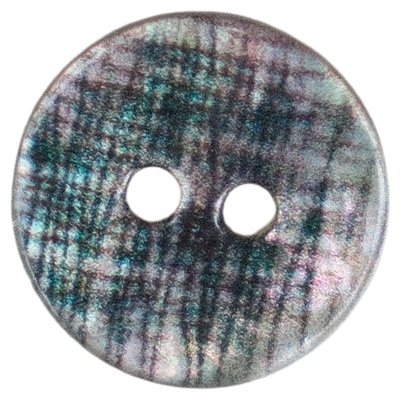 光泽绿色素描线条贝壳纽扣