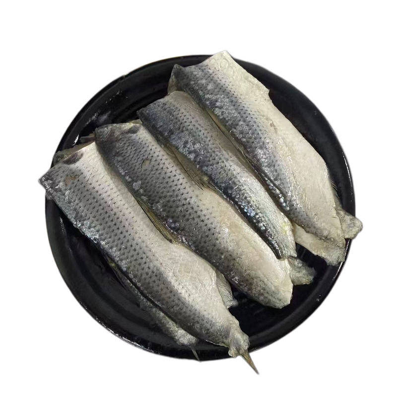 海鲫鱼片鲜冷小肌鱼刺身寿司顺丰