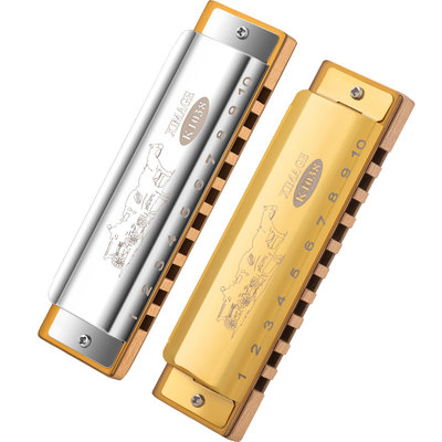 西马格布鲁斯十孔口琴c调演奏级