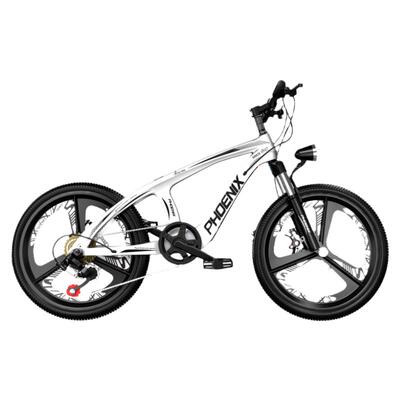 凤凰镁合金儿童自行车20/22寸中大童男女孩双碟刹变速学生山地车