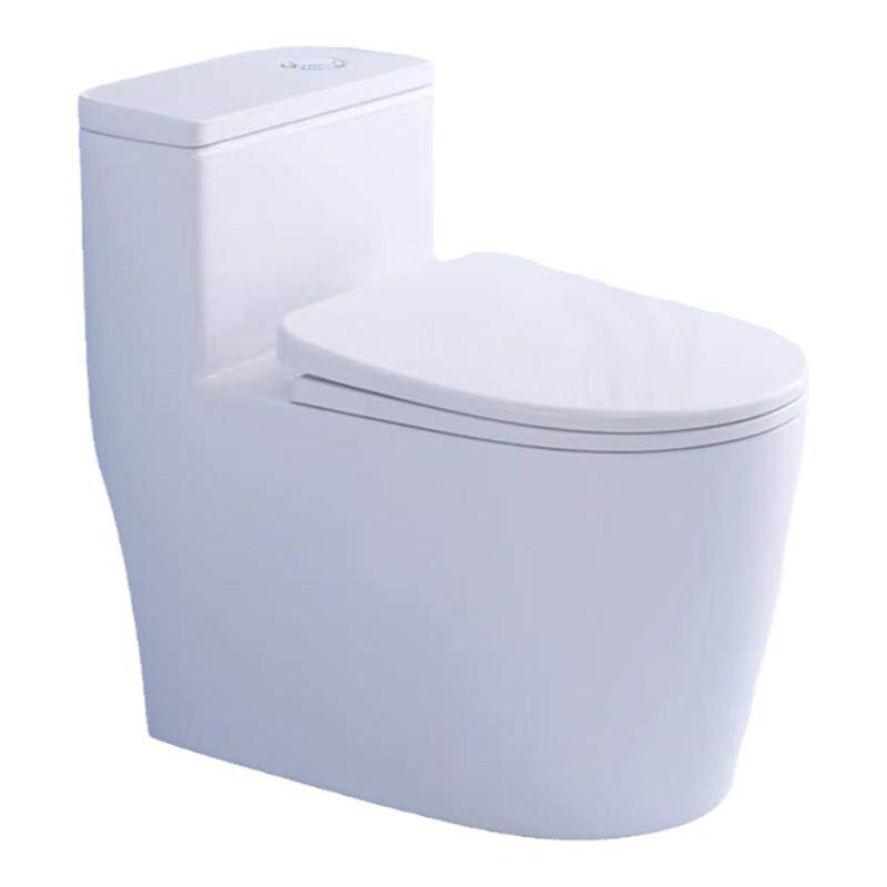 蹲坐两用马桶可蹲可坐座便器
