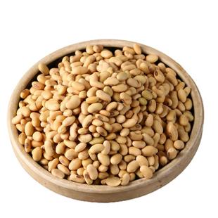 肾形 扁黄豆打豆浆 发豆芽专用山西农家自种 新货老品种 小颗粒