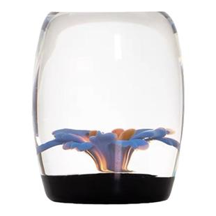 北大史玉见高端斑斓星空兰花盖置轻奢盖碗茶具盖托创意茶具摆件