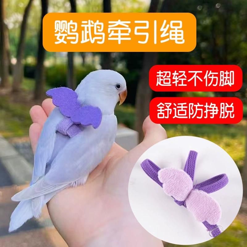 遛鹦鹉牵引绳外出放飞绳背带超轻小太阳玄凤小鸟专用遛鸟神器玩具