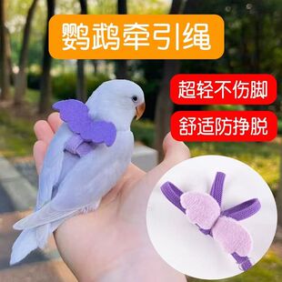 遛鹦鹉牵引绳外出放飞绳背带超轻小太阳玄凤小鸟专用遛鸟神器玩具