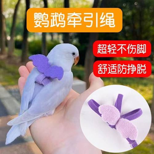 遛鹦鹉牵引绳外出放飞绳背带超轻小太阳玄凤小鸟专用遛鸟神器玩具