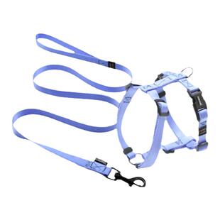 清货域揽ZOOLAND 纯色缎面牵引套装 宠物犬猫脖圈胸背狗链牵引