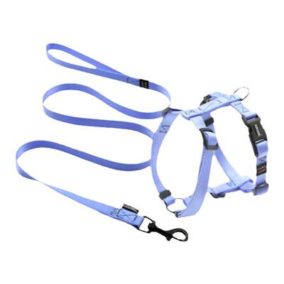 zooland宠物犬牵引套装狗链牵引