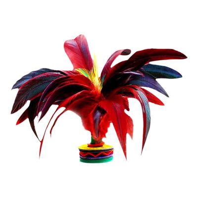 【比赛级鸡毛毽】老师推荐