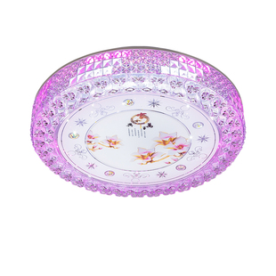 新款LED吸顶灯圆形卧室灯小户型客厅灯创意简约现代温馨浪漫遥控