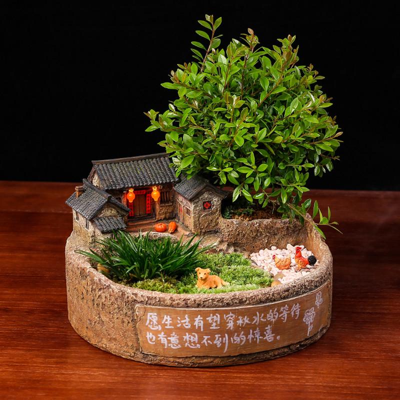 桌面微景观造景植物盆景办公室复古房子模型摆件怀旧装饰品老物件