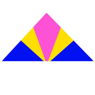 25年新款王侉子风筝微风易飞544软伞布碳杆大型高档成人专业三角