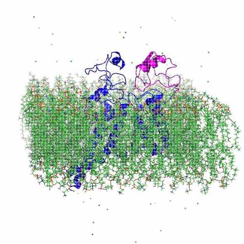 gromacs结晶MD分子动力学模拟lammps划痕仿真势函数AutoDock