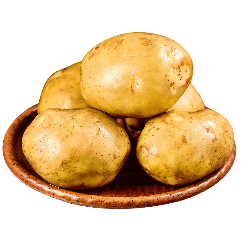 恩施大土豆新鲜现挖黄心