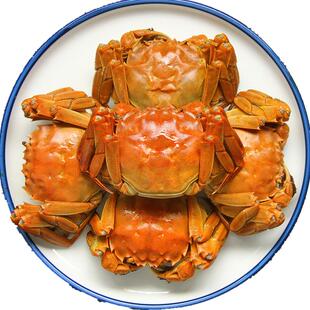 高淳固城湖大闸蟹鲜活现货特大螃蟹4两公蟹3两母10只礼盒装活蟹