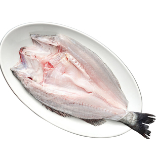 海鲈鱼开背新鲜冷冻鲜活深海鱼白蕉七星海卢鱼水产烤鱼半成品商用