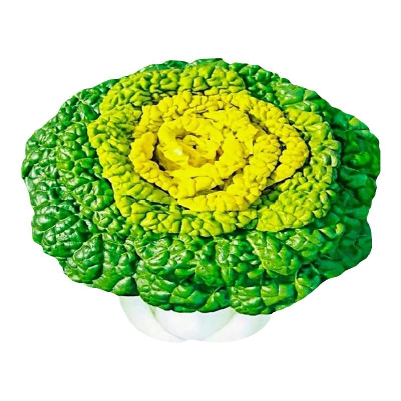 黄心乌塌菜种子黑心乌塌菜种籽抗热耐寒黄心菜秋冬季蔬菜种孑大全