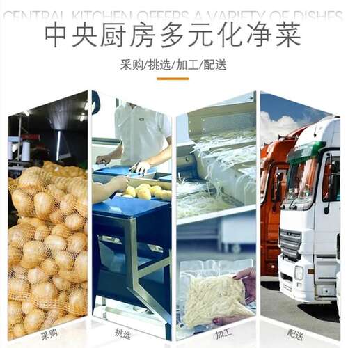 全自动玉米毛豆清洗机 商用果蔬清洗设备 小龙虾香菇多功能清洗机
