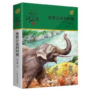 正版包邮 动物小说大王沈石溪军旅系列 象群迁移的时候 6-8-10-12岁儿童课外阅读书籍 三四五六年级 读物 新华书店畅销排行榜