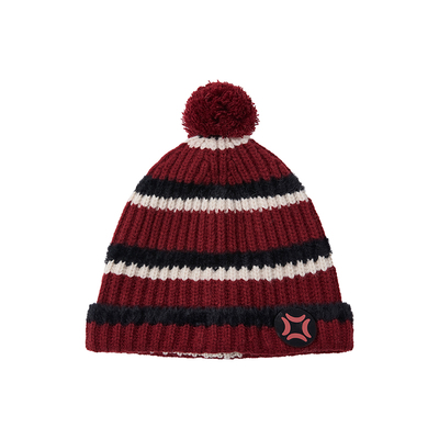 物理少年条纹针织帽