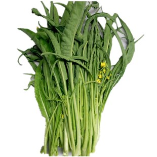 广西桂林特色蔬菜新鲜柳叶菜心菜花绿菜白菜苔农家现摘泡保温发货