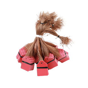 花卉牌PVC彩色植物塑料吊签花卉园艺标签小挂牌苗木吊牌多肉标签