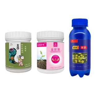柴胡增产套餐氨基酸生根快长褐藻寡糖抗病壮根膨大元胡柴胡中药材