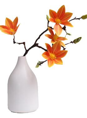 北欧素烧陶瓷花瓶仿真桌面摆放