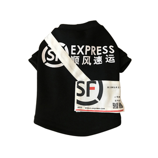 狗狗猫咪猫衣服夏季薄款潮牌宠物猫猫蓝猫布偶猫公猫帅气防掉毛