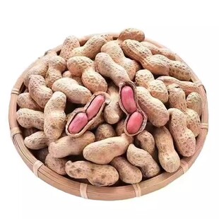 【吊炉小花生】精选花生小珍珠铁锅农家炒原味炒花生柴火炒花生