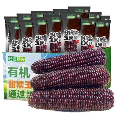 有机认证当季头茬黑糯玉米头茬