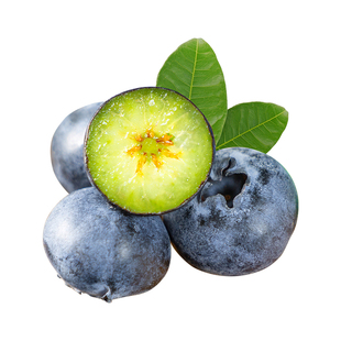 东方甄选云南蓝莓新鲜水果当季整箱时令生鲜生日礼物过年年货