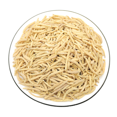 太子参500克孩儿参茶柘荣健脾汤