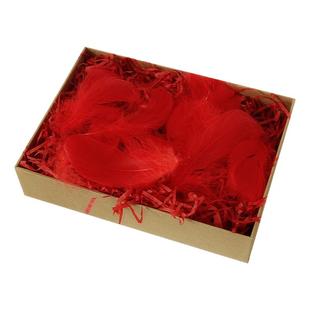 diy礼物礼品盒填充物马卡龙色系彩色舞台拍照道具纸丝羽毛天然