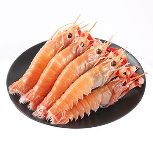 海鳌虾超大刺身级深海鳌虾新鲜速冻野生海鳌虾甜虾刺身海鳌虾海鲜