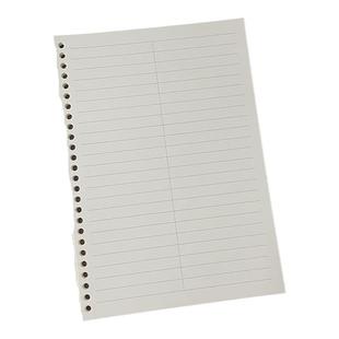 B5分栏活页本 中间有条竖线 英语单词本 课堂笔记本 两列对分替芯