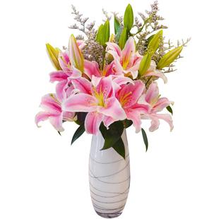 鲜花云南直批发香水百合玫瑰鲜花水仙百合六出花鲜切花水养插花