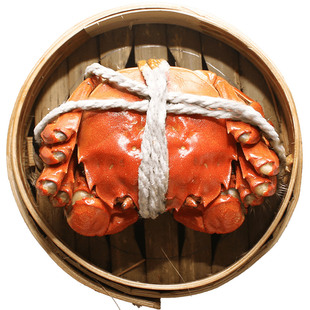 [活蟹]蟹王岛大闸蟹全母蟹2.5两8只螃蟹送礼盒装新鲜活湖蟹小蟹农