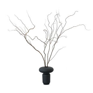 天然龙柳干枝柳树枝条干花花束长枝高级感真花干树枝摆件艺术插花