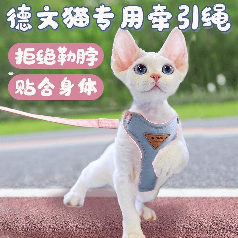 德文专用牵引绳猫咪防挣脱德国卷毛猫无毛猫溜猫绳子外出项圈小猫