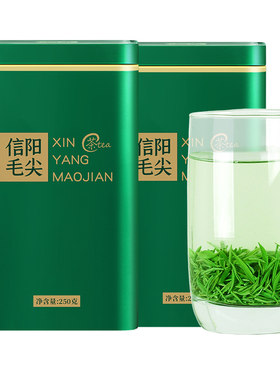信阳毛尖2026新茶特级浓香型500g