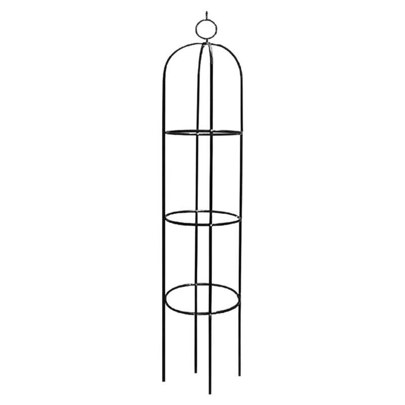 植物黄瓜番茄葡萄月季爬藤花架