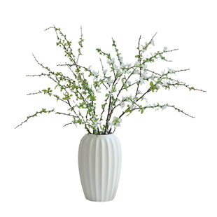 雪柳鲜枝水培年宵花银柳龙柳干枝水养富贵竹客厅吸除甲醛室内绿植